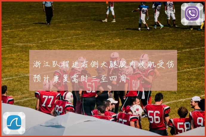 浙江队程进右侧大腿股内收肌受伤预计康复需时三至四周