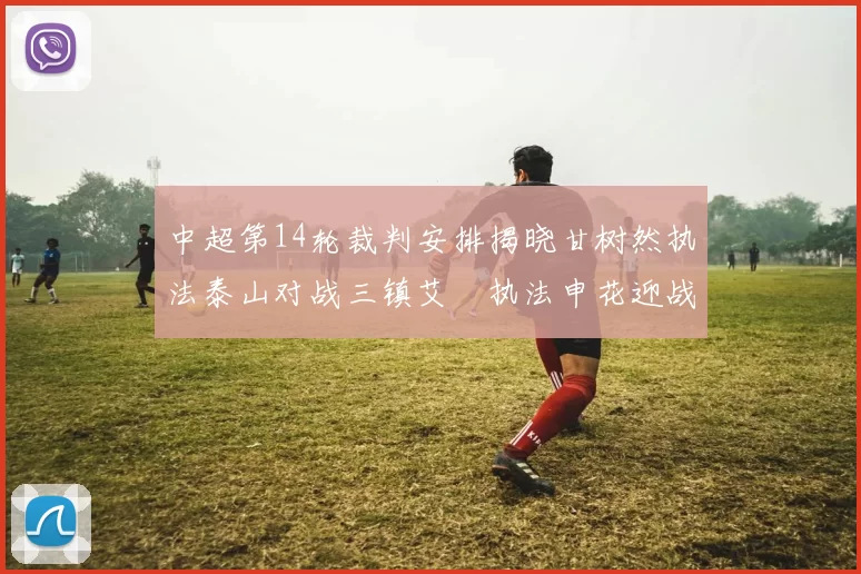 中超第14轮裁判安排揭晓甘树然执法泰山对战三镇艾堃执法申花迎战新鹏城
