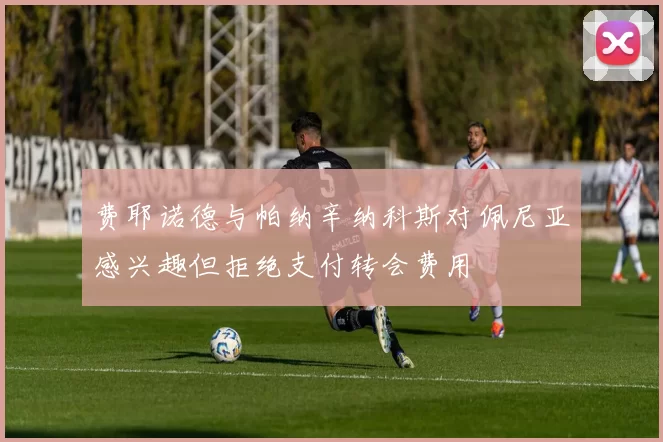 费耶诺德与帕纳辛纳科斯对佩尼亚感兴趣但拒绝支付转会费用
